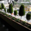 정원커피숍 - 안동시 풍산중앙길 147-1 | 정원커피숍
