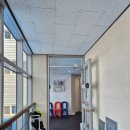 애니카랜드연동점 | [제주네일] 노형동 우쓰네일, 벚꽃이랑 찰떡인 여리여리 봄 네일 성공 후기🌸