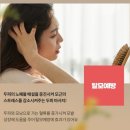 빠마앤컷 이미지