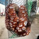 은비수산 이미지