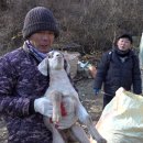 일구농장2 이미지