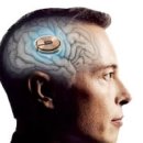 텔레파시마켓 이미지