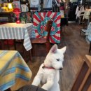 소꿉친구(소고기꿉는친구) | 광주 첨단 월계동) 미국 힙합감성 '컵플레이' 낮에는 카페 저녁엔 맥주집 / 감성펍카페 Coffee &amp; Beer