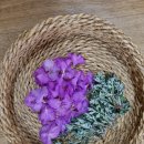 진달래유치원 이미지