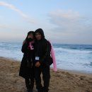 정동진역 이미지