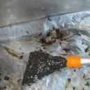 하대동105 | 진주입주청소 고민하다 선택한 하대동 상가 후드청소 후기