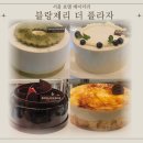 호텔 치즈 | [플라자호텔 블랑제리] 시청 케이크 바스크 치즈 무스 반값 후기 (네이버페이 할인)