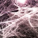 공덕인과한의원 이미지