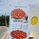 뚱뚱한크로플 이미지