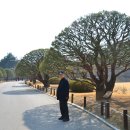 성동초교 이미지