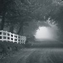 Memory of  이미지