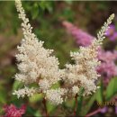 020-문산-020 이미지