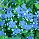 서귀포 보조기구대여센터 이미지