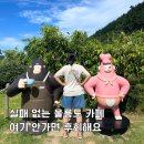 울릉현포자연식품 | 울릉도 카페울라, 인생샷 성지인 이유와 가볼만한곳 추천