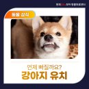녹번동물병원 이미지