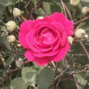 문형구장 이미지