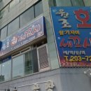 원조회세꼬시