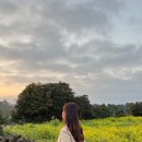 소랑스파앤풀빌라 이미지