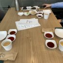 THE 형제 이미지