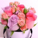 귀거래사 이미지