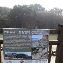 경기 화성 궁평항 Daum카페