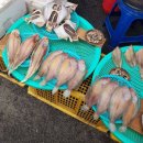 경화시장 이미지