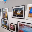 갤러리약국 이미지