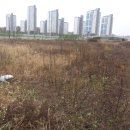 하길초등학교 이미지