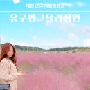 가을 대전근교 가볼만한곳 공주 핑크뮬리 명소 유구 색동수국정원 이미지