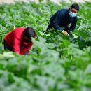 서기마을 이미지