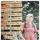 들국화악단 이미지