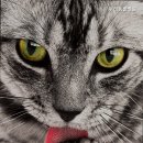 두리동물병원 이미지