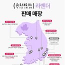 폴바셋대구수성못점 이미지