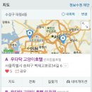 우다닥 고양이호텔 이미지