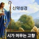 베드로의 첫째 서간(2장1절-25절) 이미지