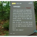 모봉길 티스토리