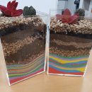 보령시치매안심센터 이미지