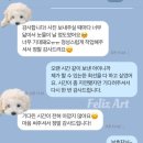 말티즈 펫로스 위로 선물, 무지개다리 건넌 반려견 닮은 인형 아트돌 전신 완성