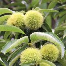 정감어린 이미지