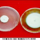 신성메디텍 이미지