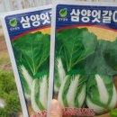 천왕농장 이미지