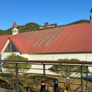 웨스턴스프링스 | 전북 정읍시 승마 힐링 카페 와일드필드커피 | 생생정보 2453회 2026년1월8일