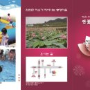 봉정 이미지