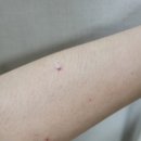 목동사이렌의원 이미지