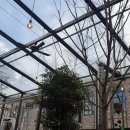 소나상회 이미지