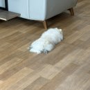서탄반점 네이버블로그