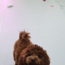 행복한요나네 이미지