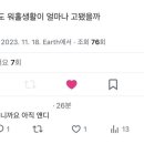 타코퀸 이미지