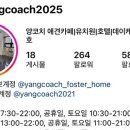 양코치 애견카페 이미지