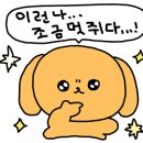 꾸물/이룸 이미지